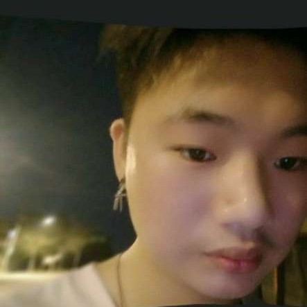 落叶的一生的照片
