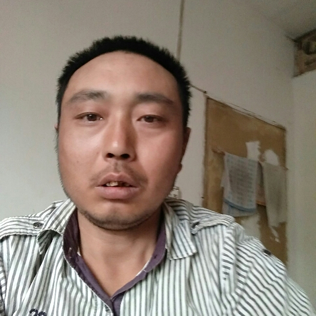 猫咪請大气的照片