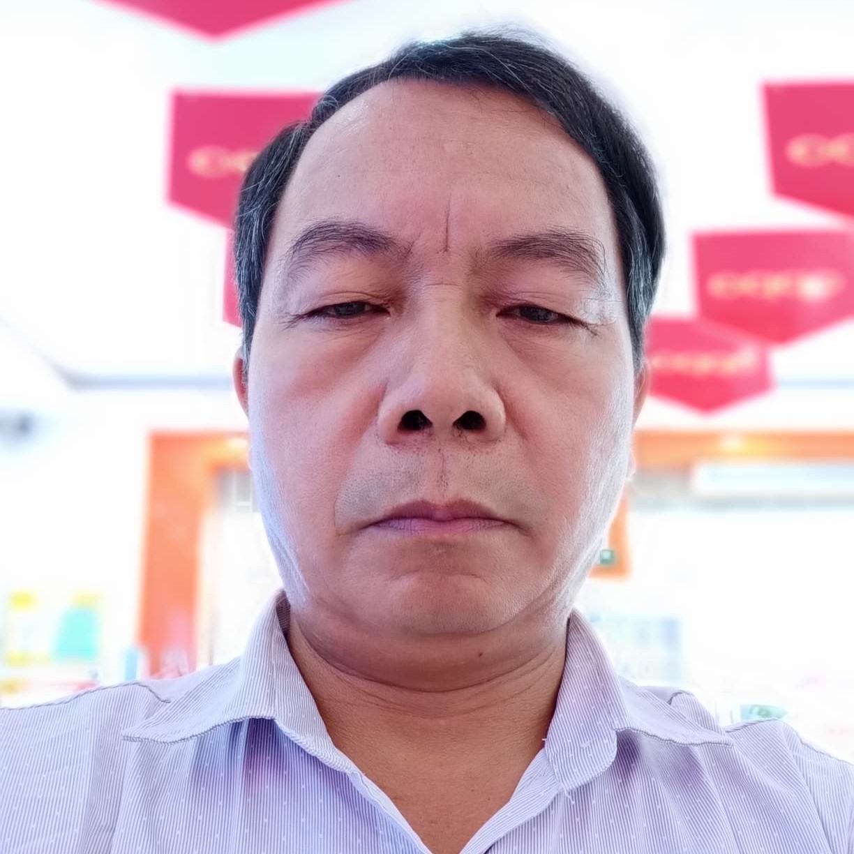 羊漫步畅快的照片