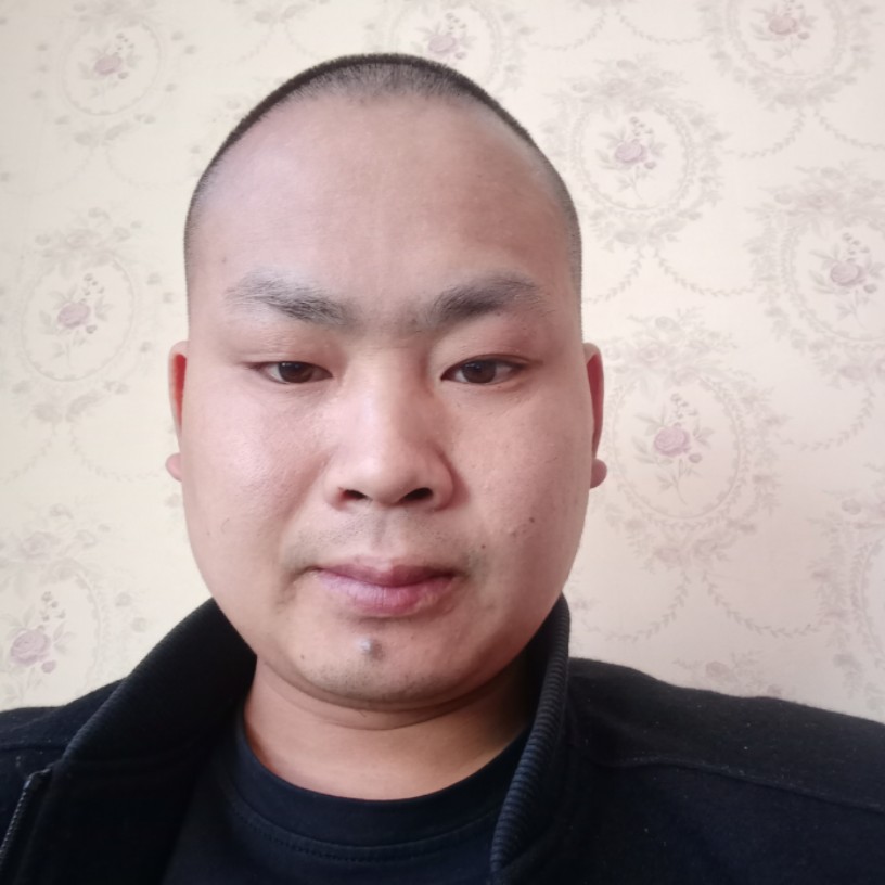 社会单纯的照片