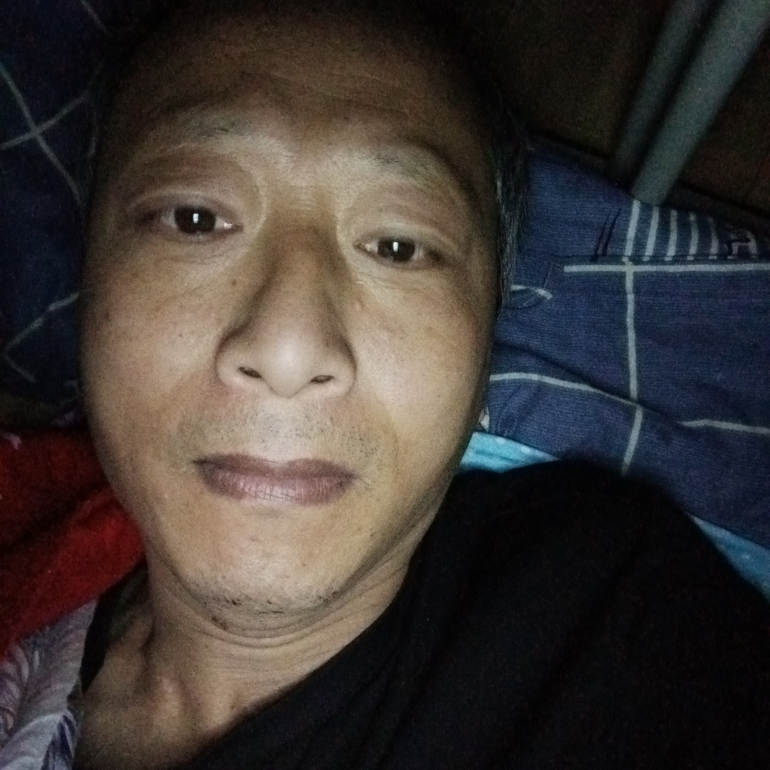 会员268964760的照片