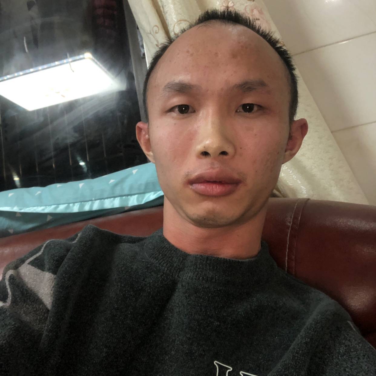 翩飞和翅膀的照片
