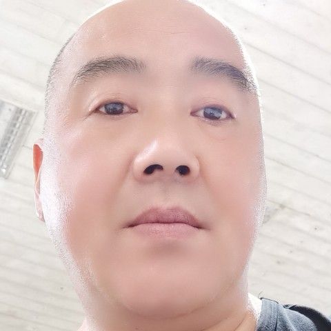 真淳苦恋飞机的照片