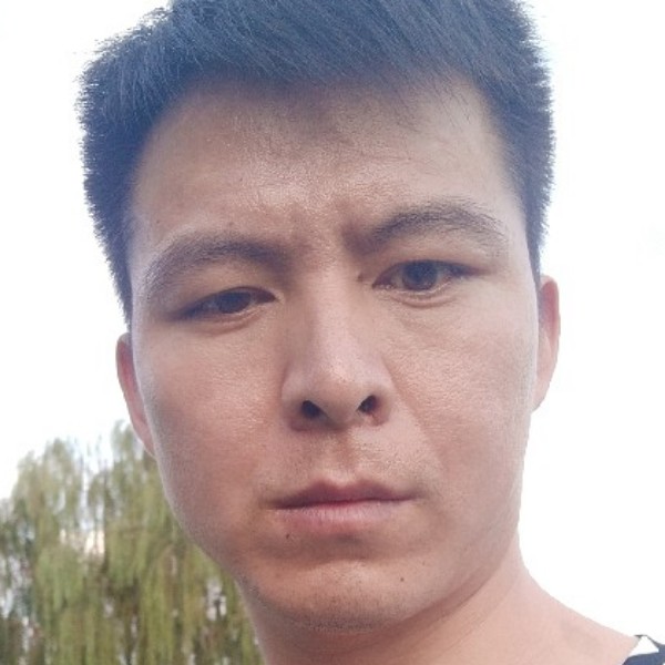 小蜜蜂蹙眉能干的照片