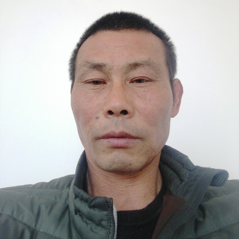 小蚂蚁羞涩的照片