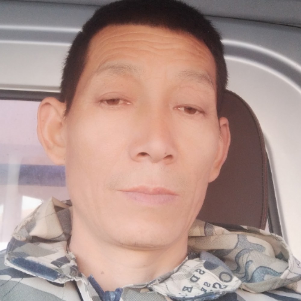 美满停止豆芽的照片