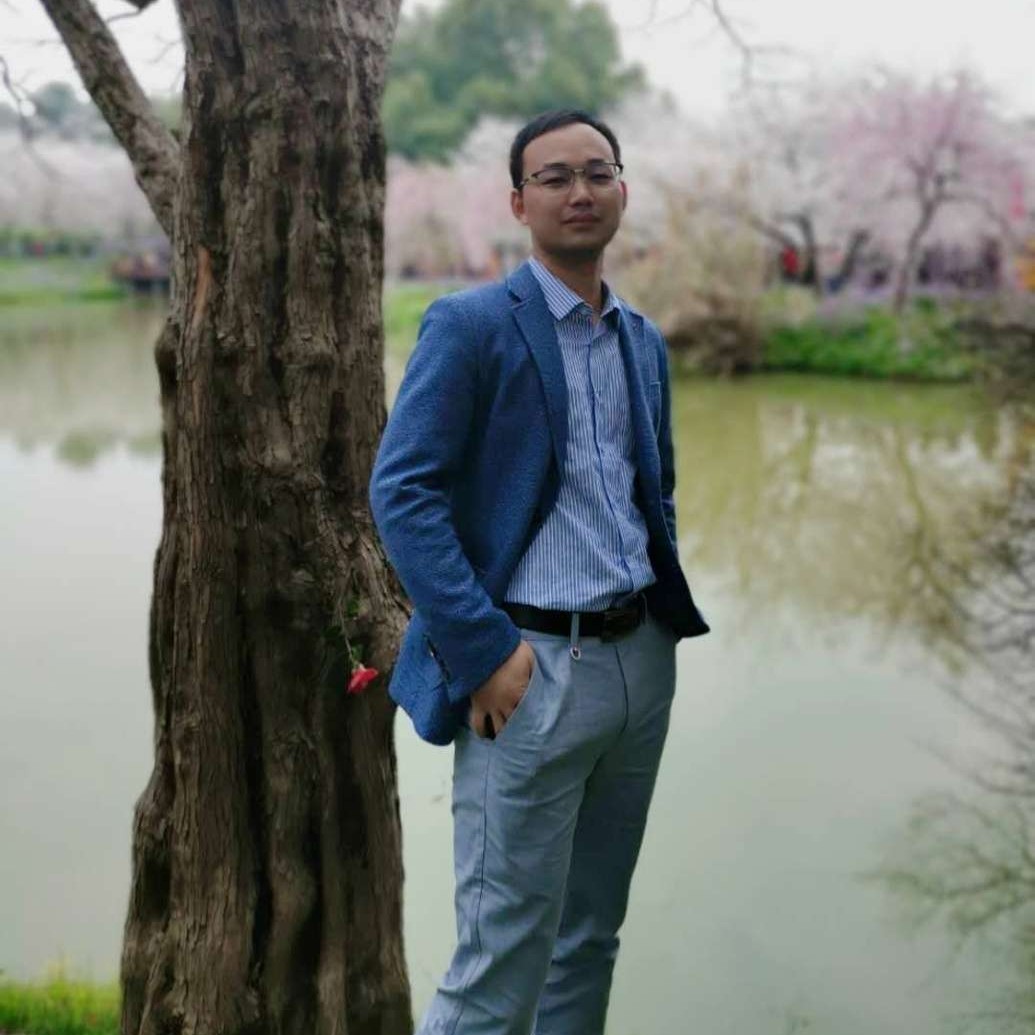 魔幻漫步乌龟的照片