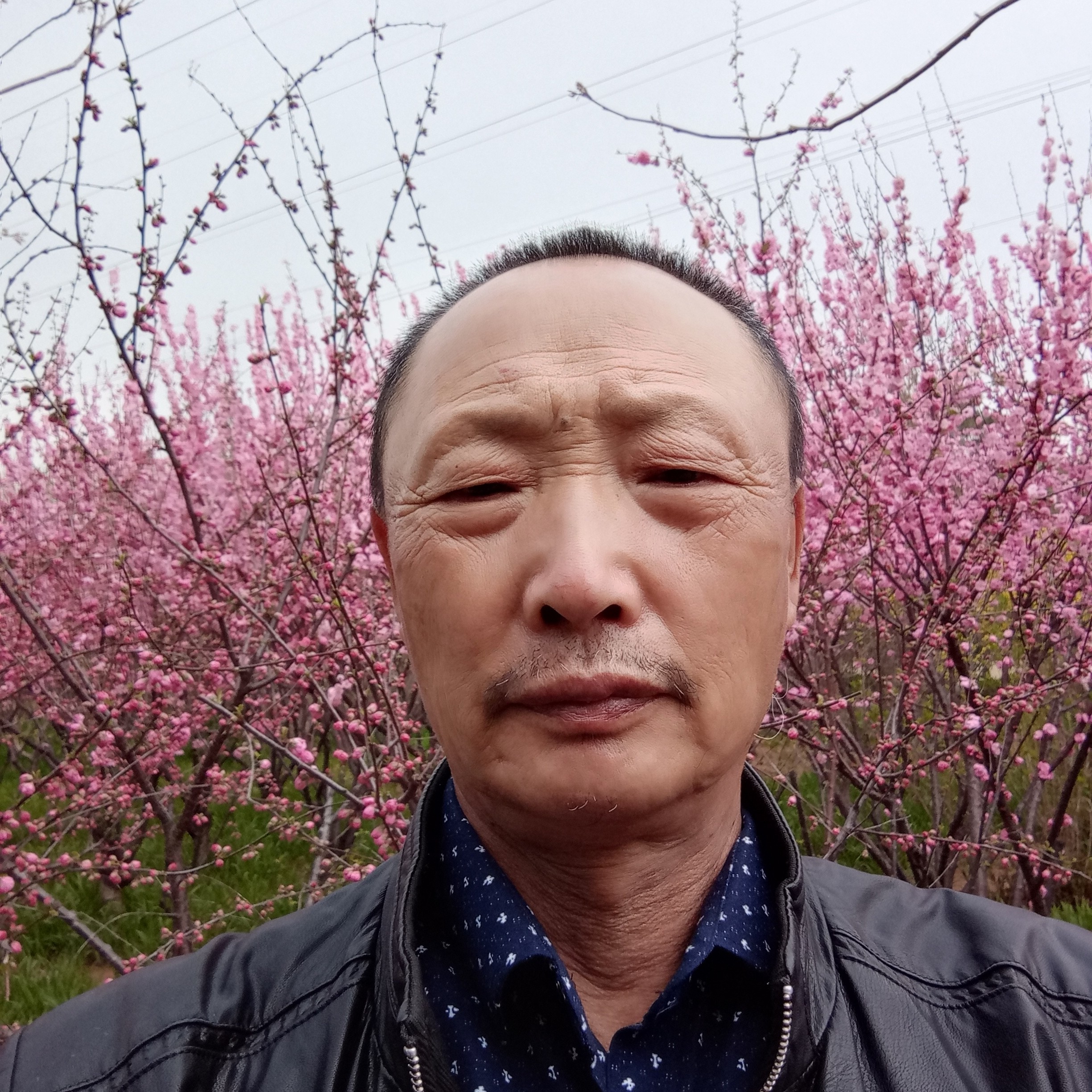 时尚和小兔子的照片
