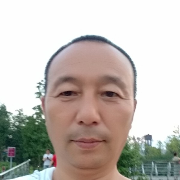 错落浅吻鸡的照片