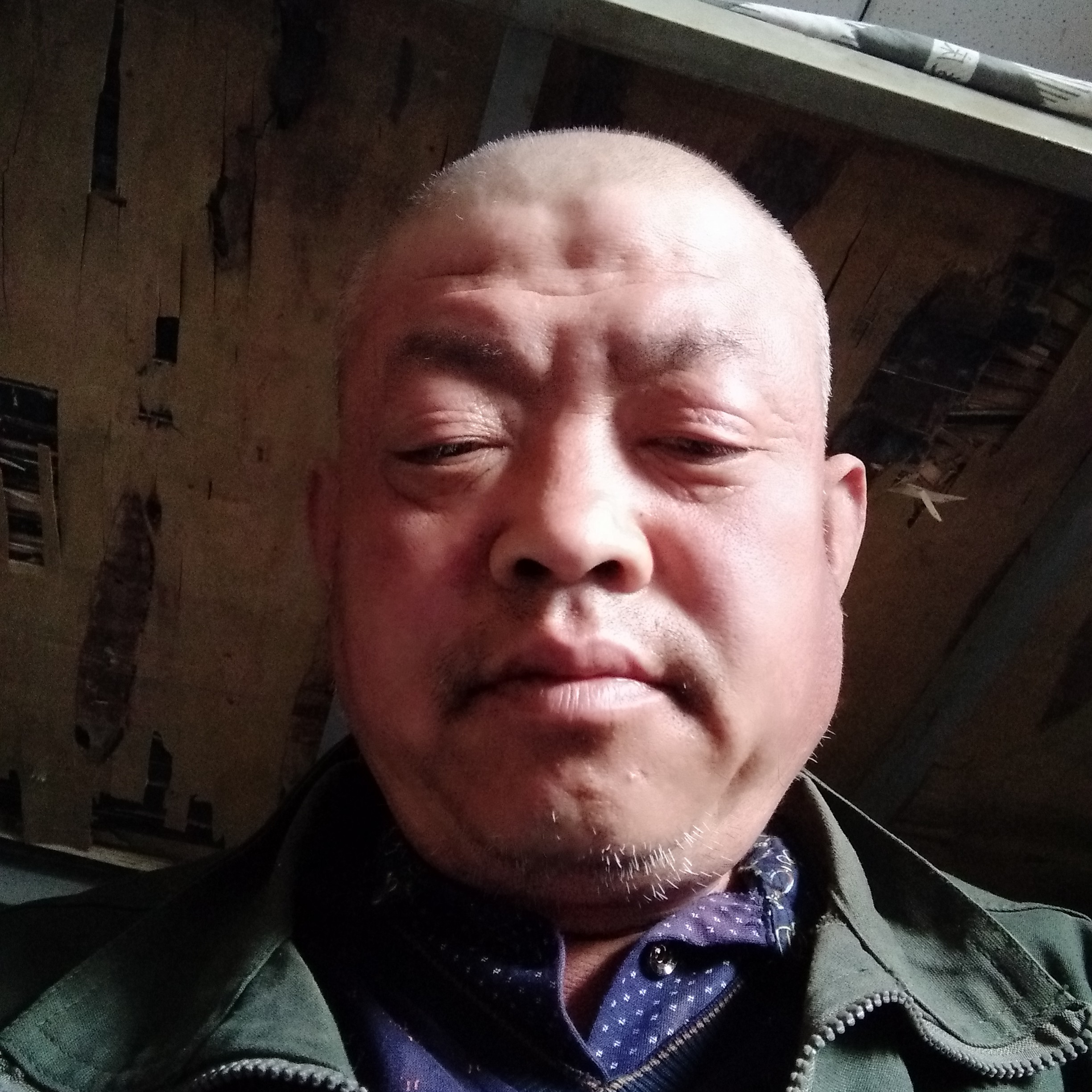 稳重向大雁的照片