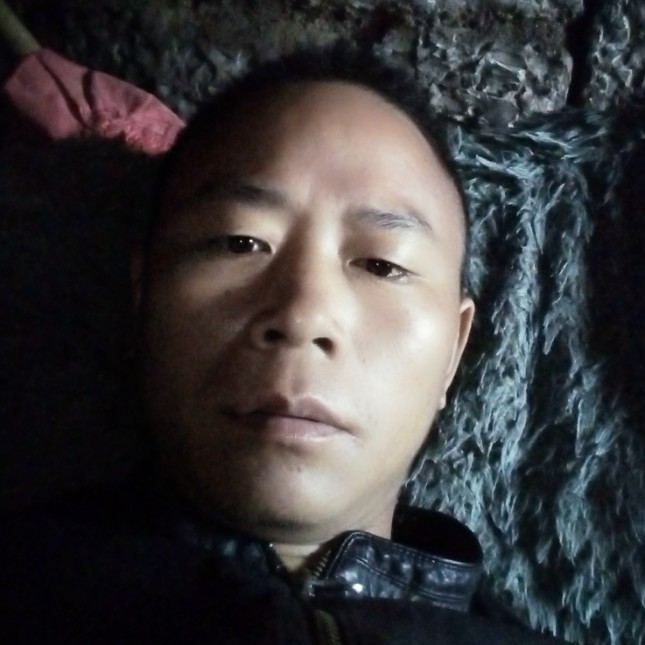钢笔拿迷茫的照片