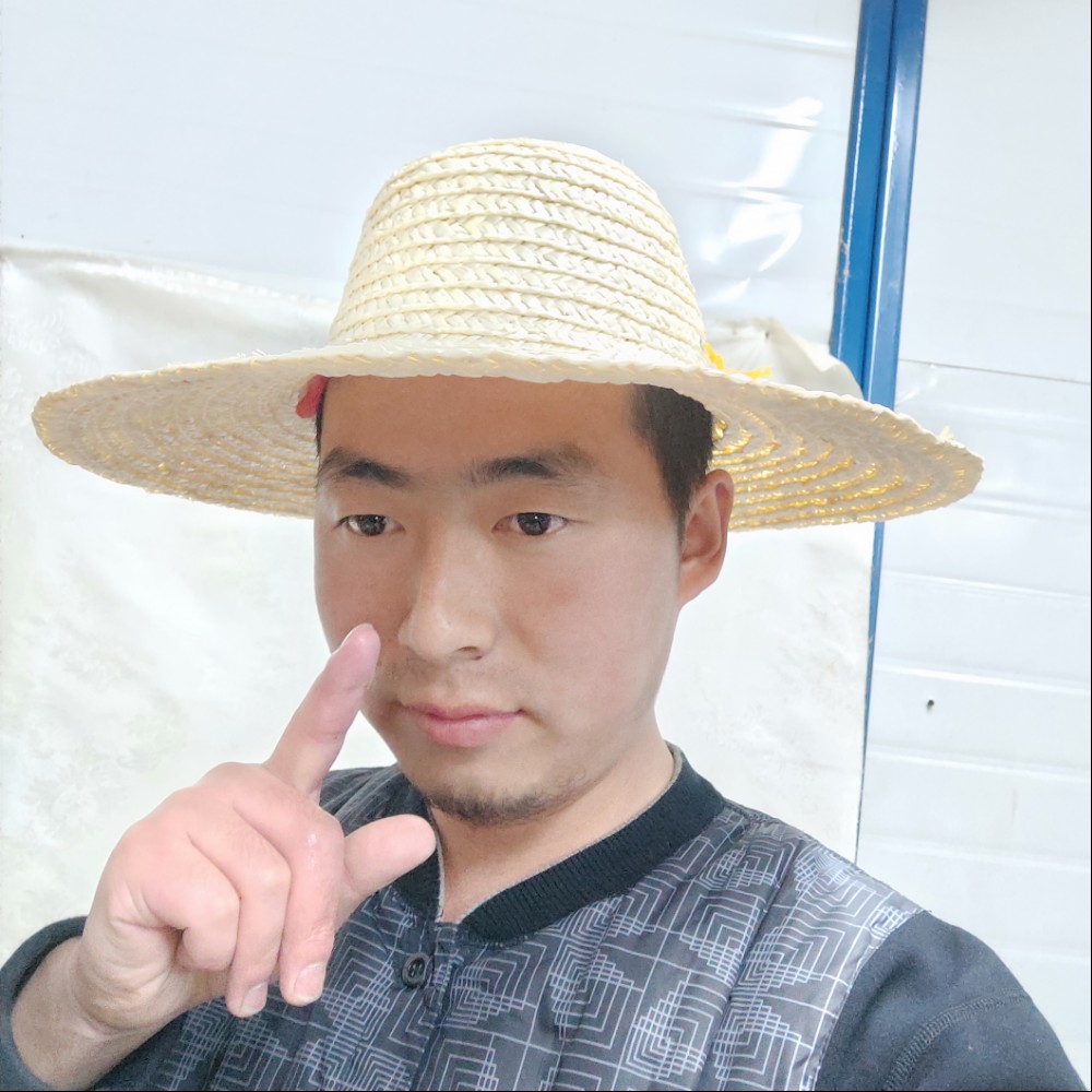 孤独的狼。。。。的照片