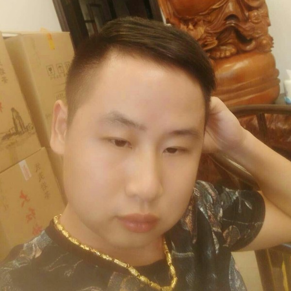 黑猫拾忆包容的照片