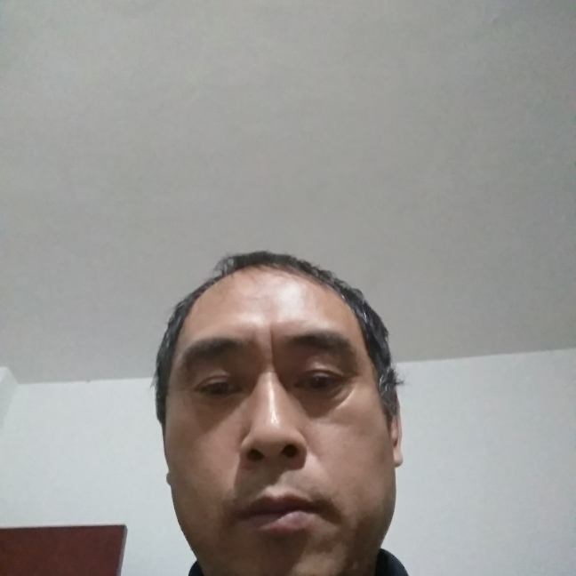 小鸭子等待漂亮的照片