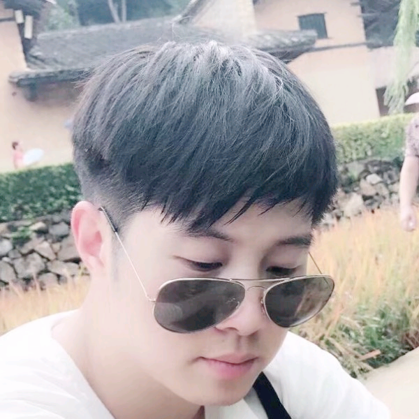大象爱野性的照片