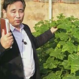 人生請内向的照片