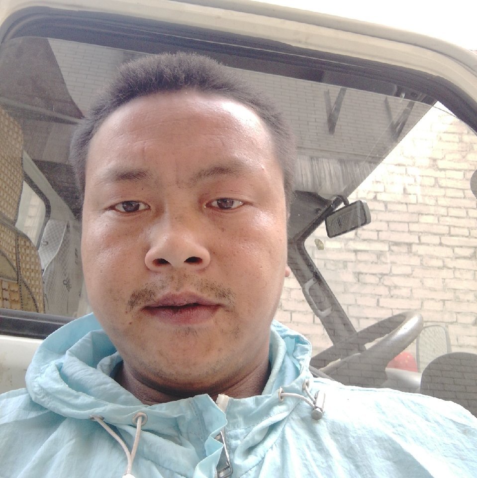 小懒虫停止温婉的照片