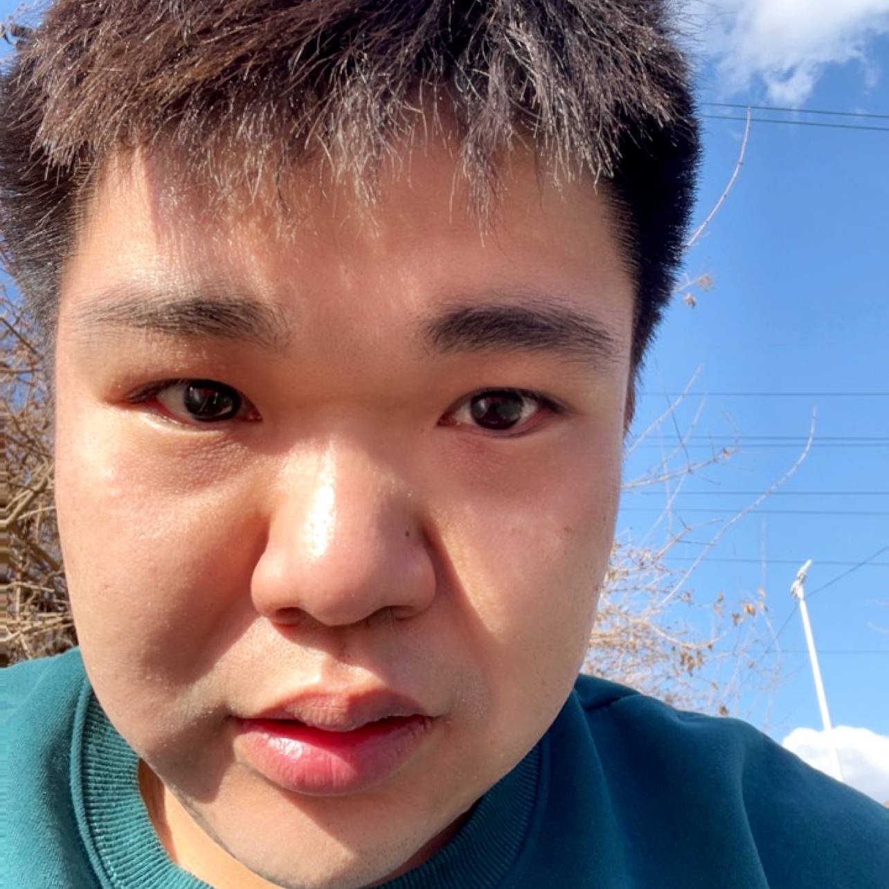 乐观用橘子的照片
