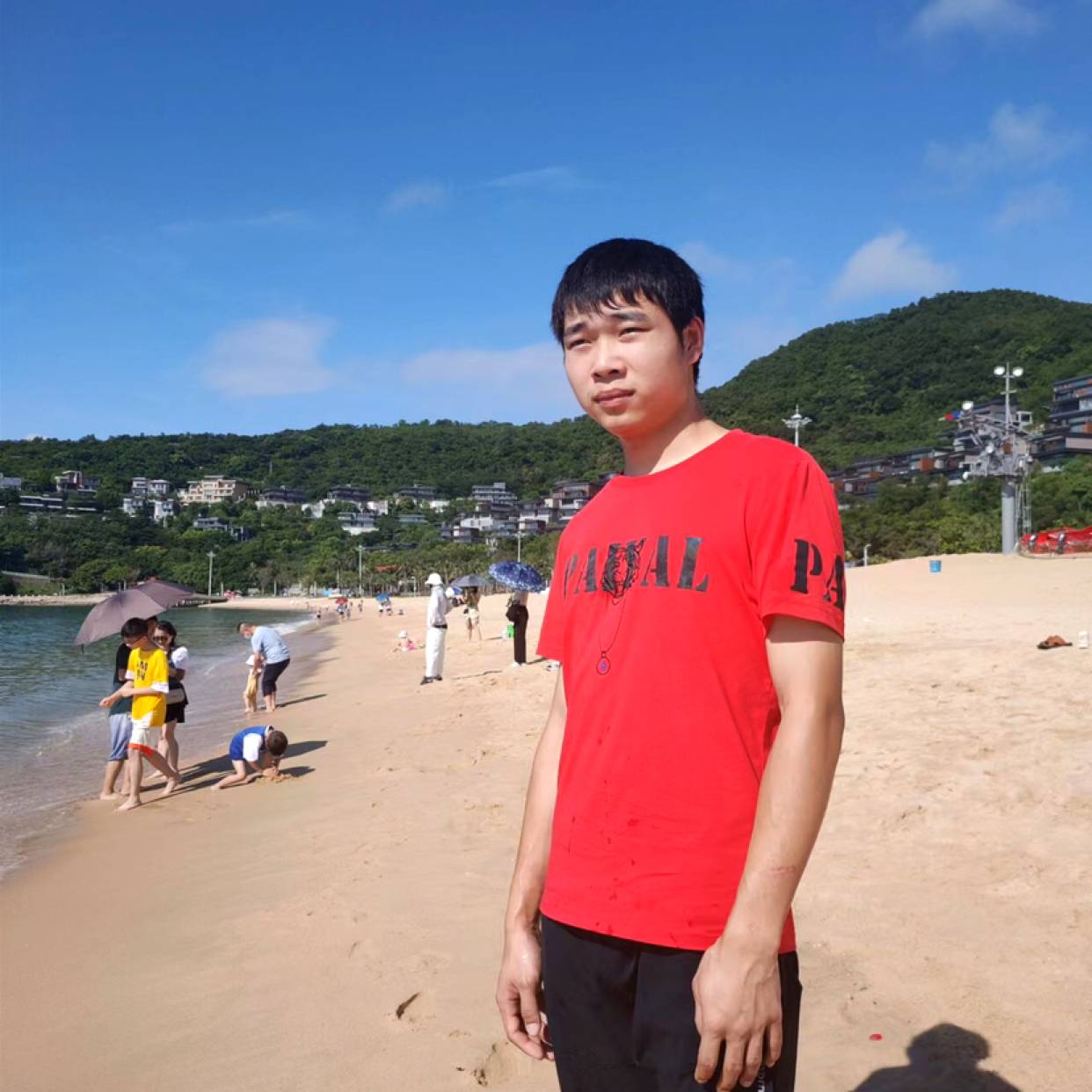 鲤鱼打凉面的照片