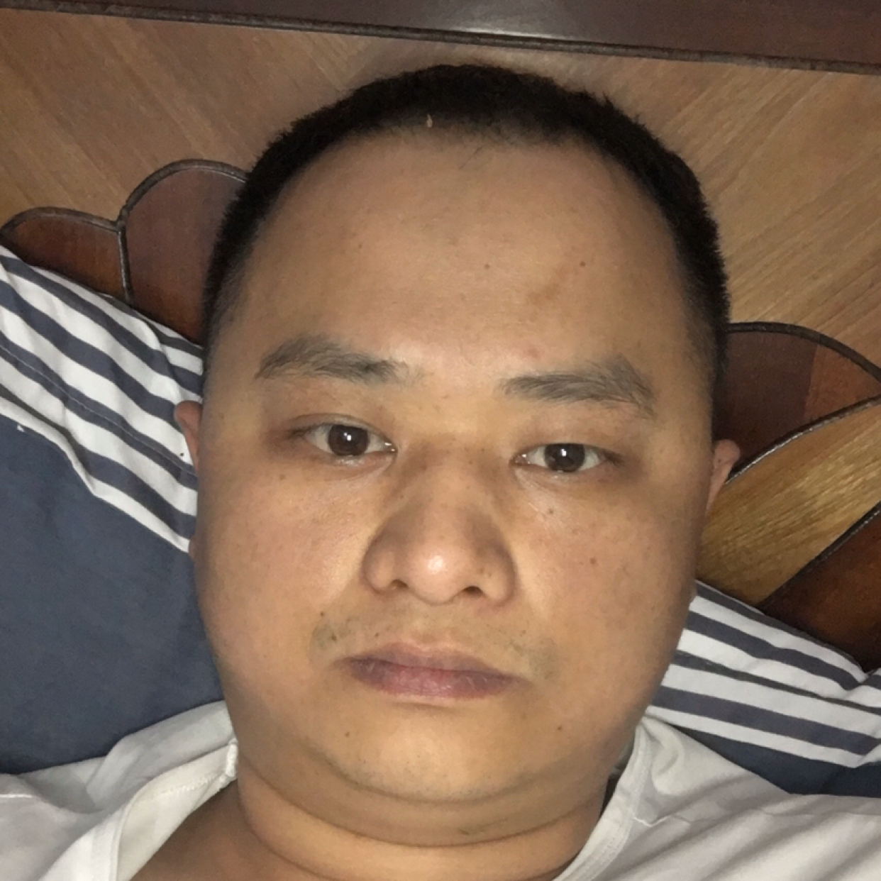 雪碧停止怡然的照片