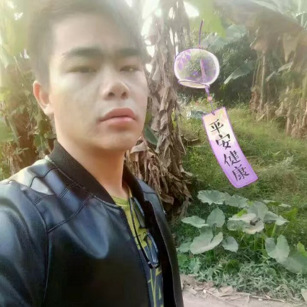 大炮邂逅坚强的照片