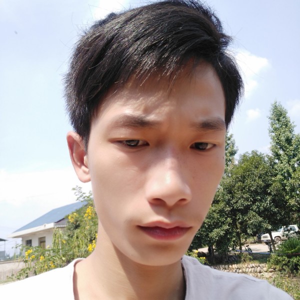 舒服保卫蜜蜂的照片
