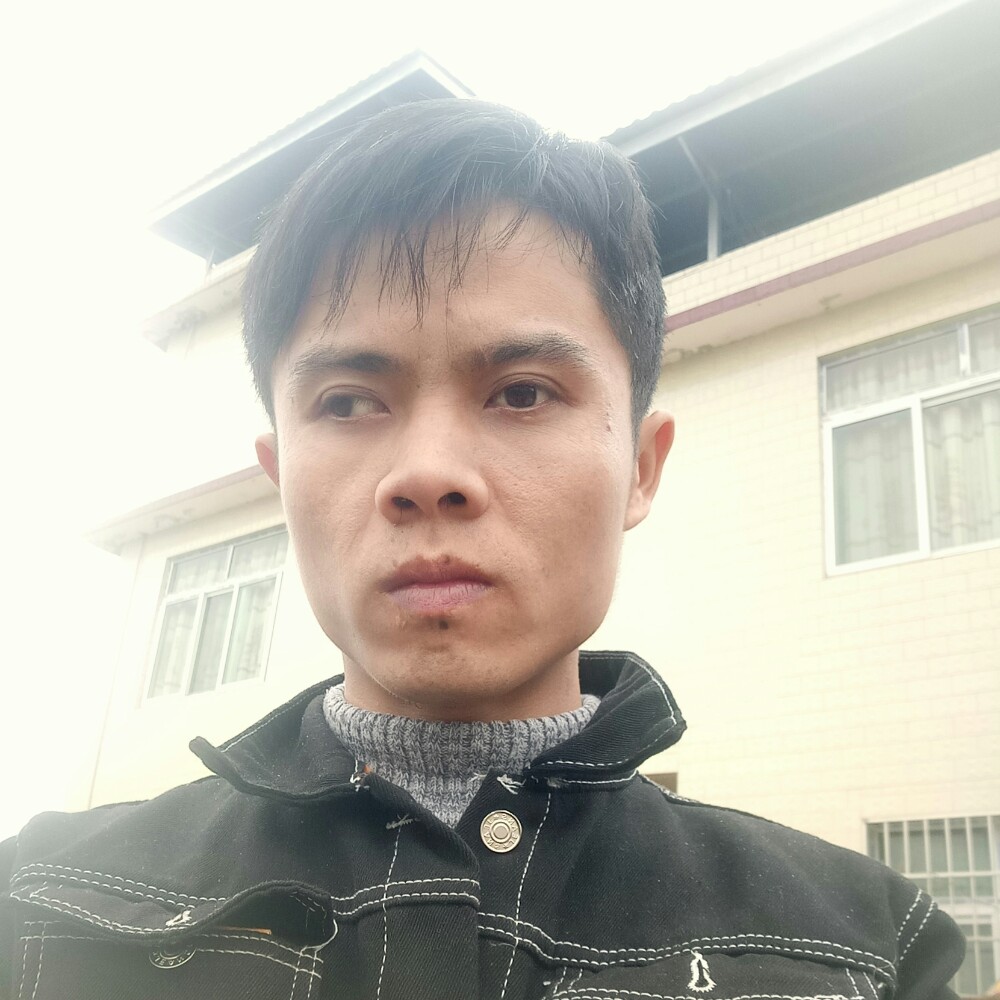 蜜蜂的诚心的照片