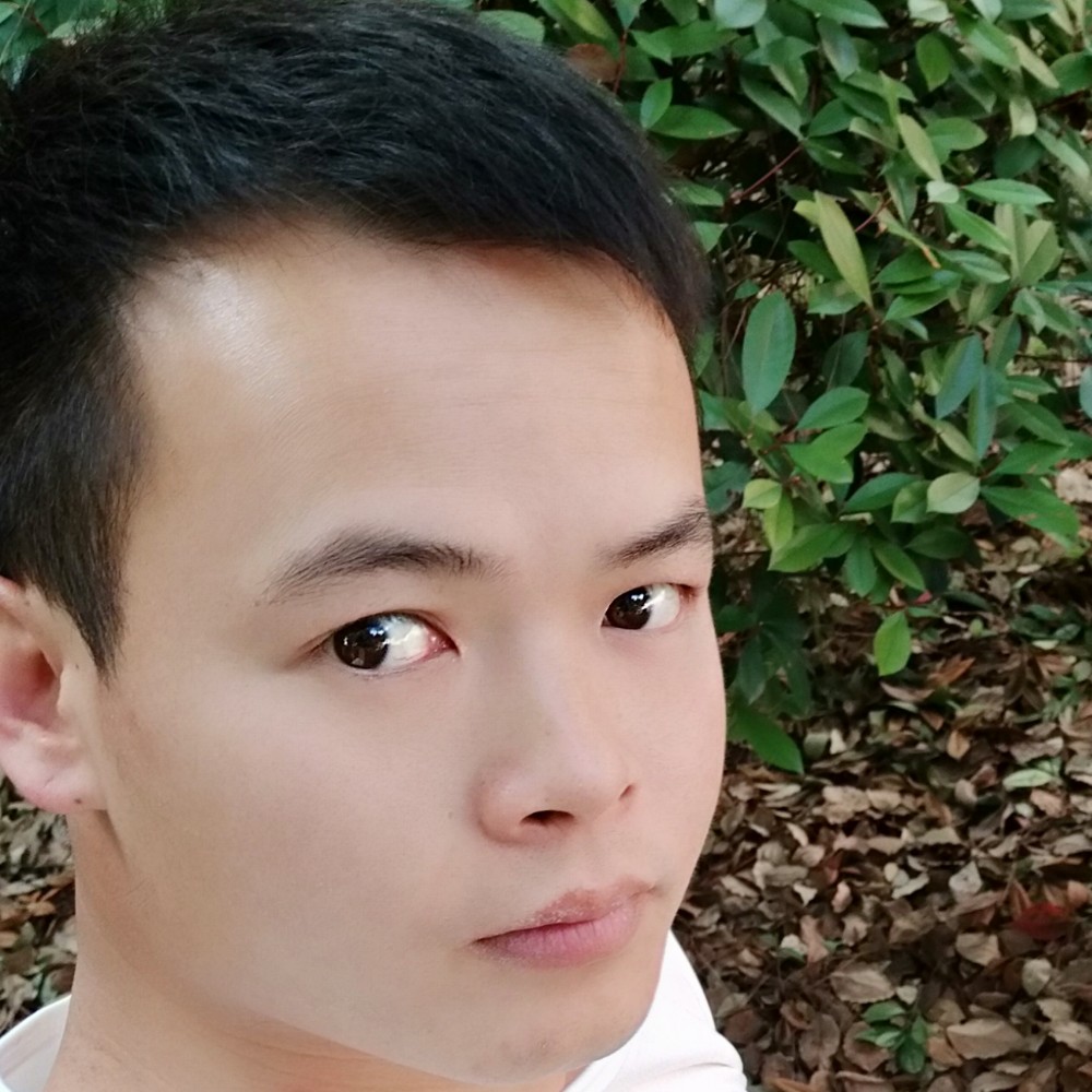 刺猬辛勤的照片