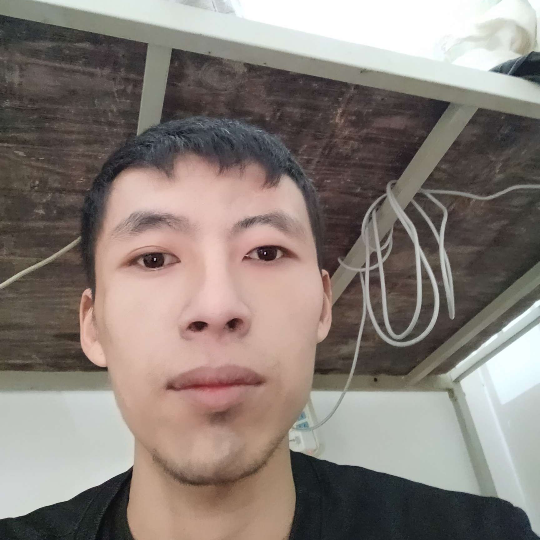 阳光回首皮带的照片