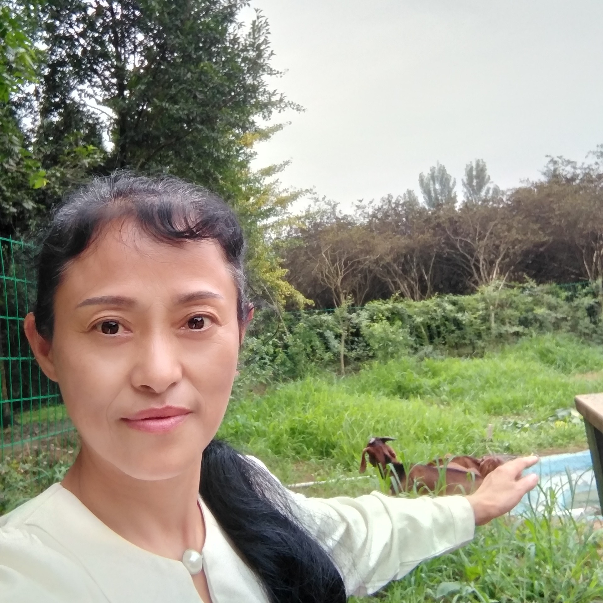 会员917223536的照片