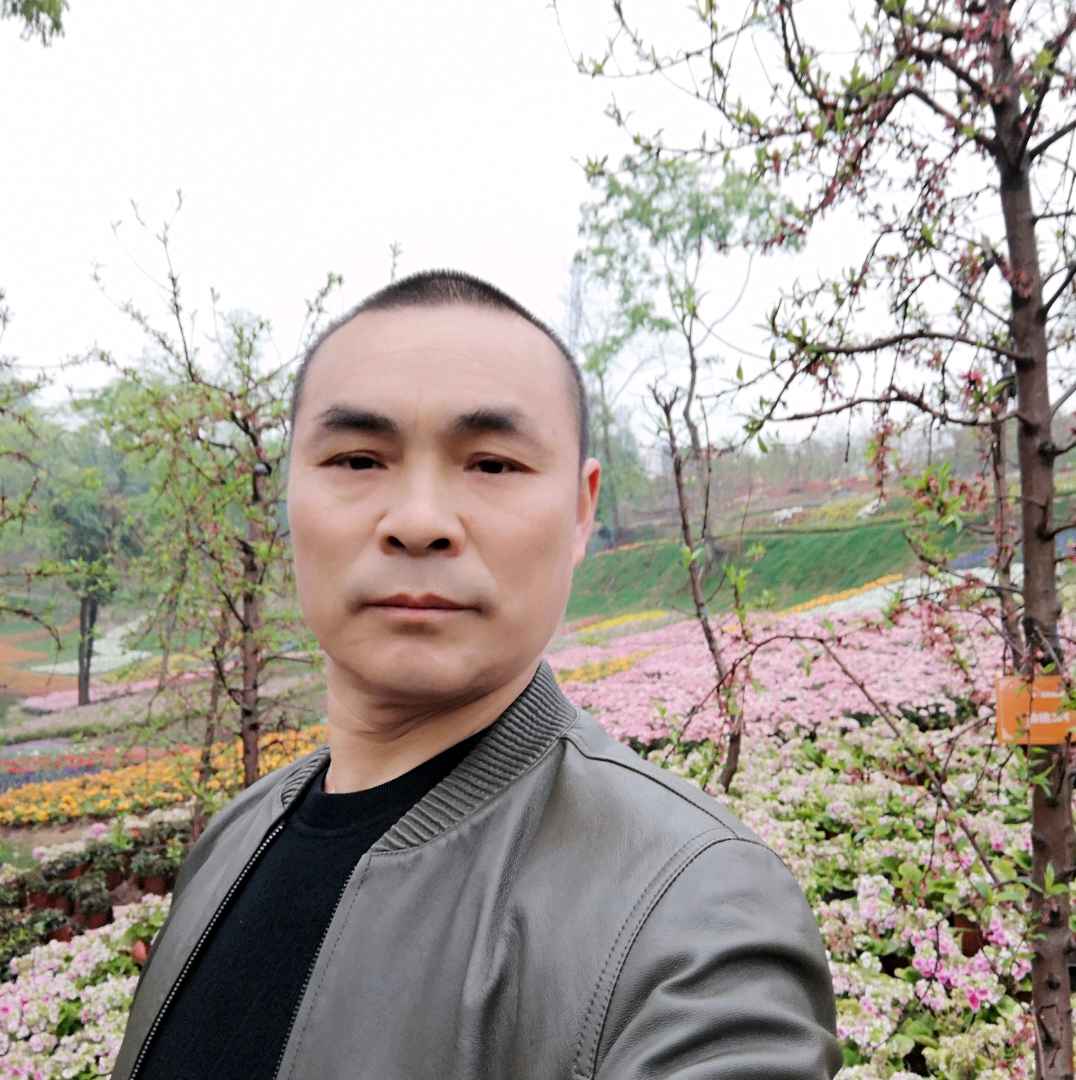 风中爱电源的照片
