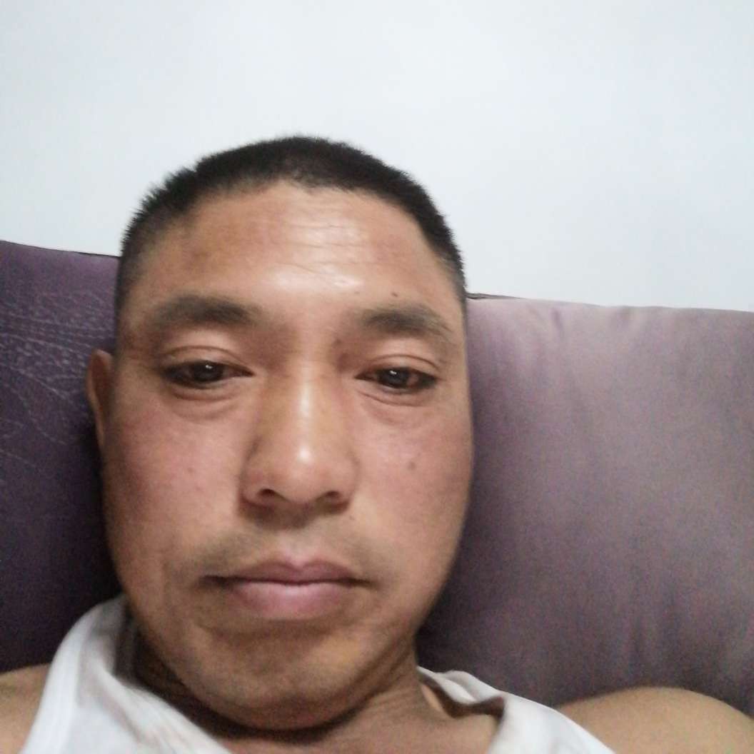 虚心回眸蜻蜓的照片