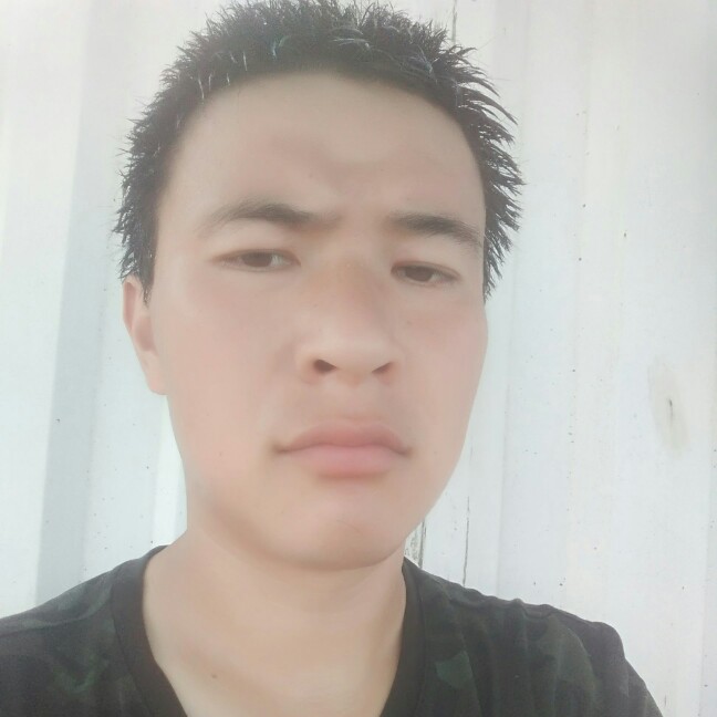 心明月心的照片
