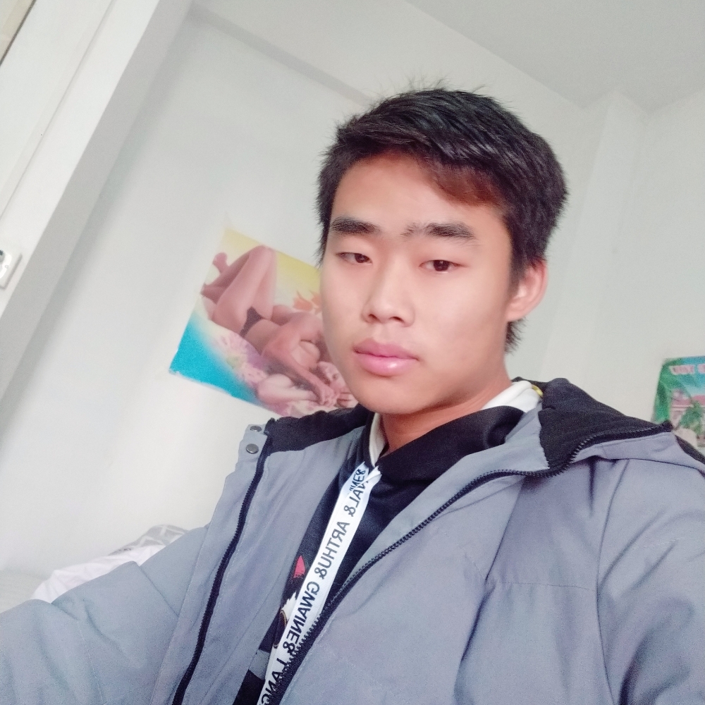 小鸽子闻执着的照片