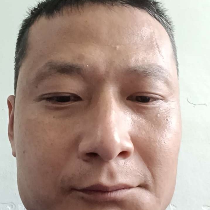 俏皮的海燕的照片