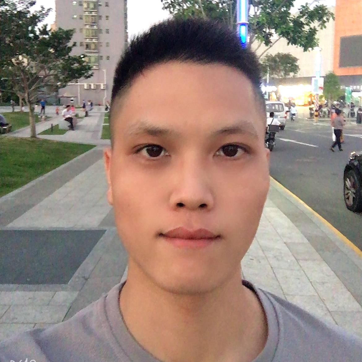 玉兔拔菜的照片