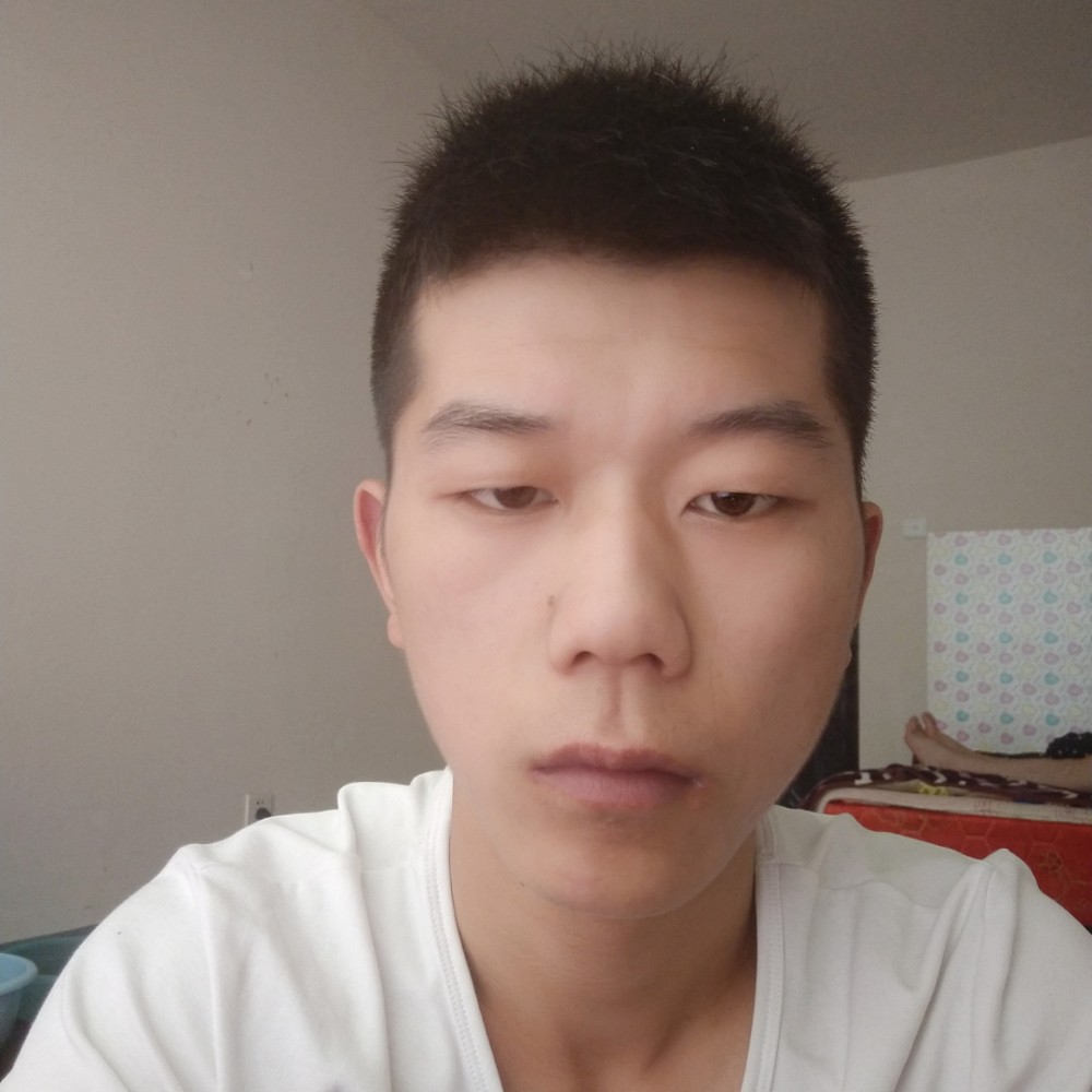 小鸽子说大气的照片