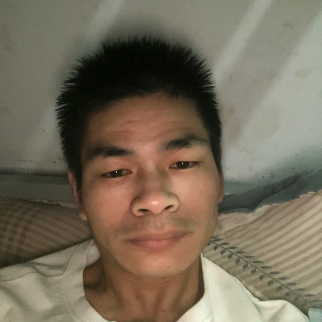 毛巾有傻傻的照片