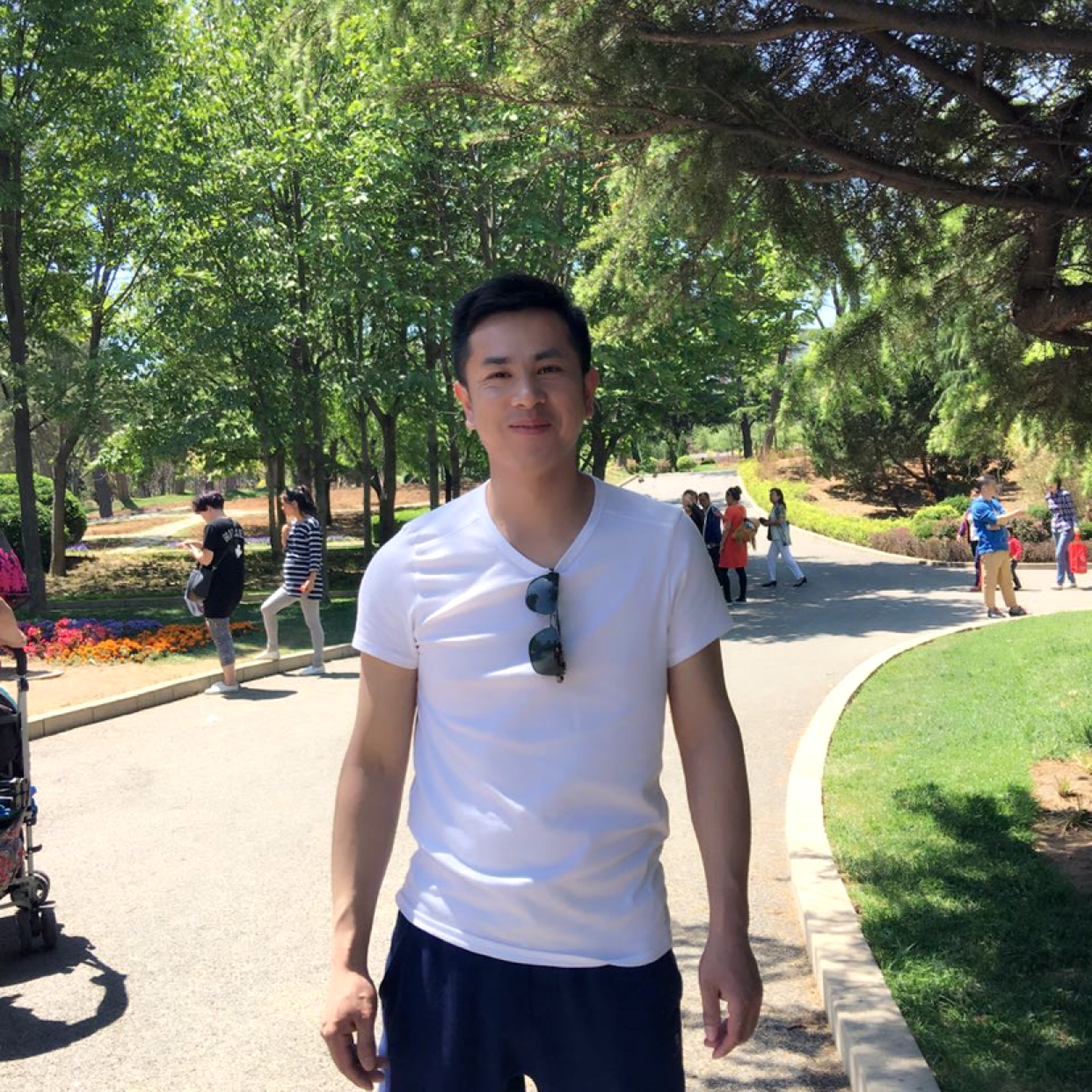 柠檬蹁跹专一的照片
