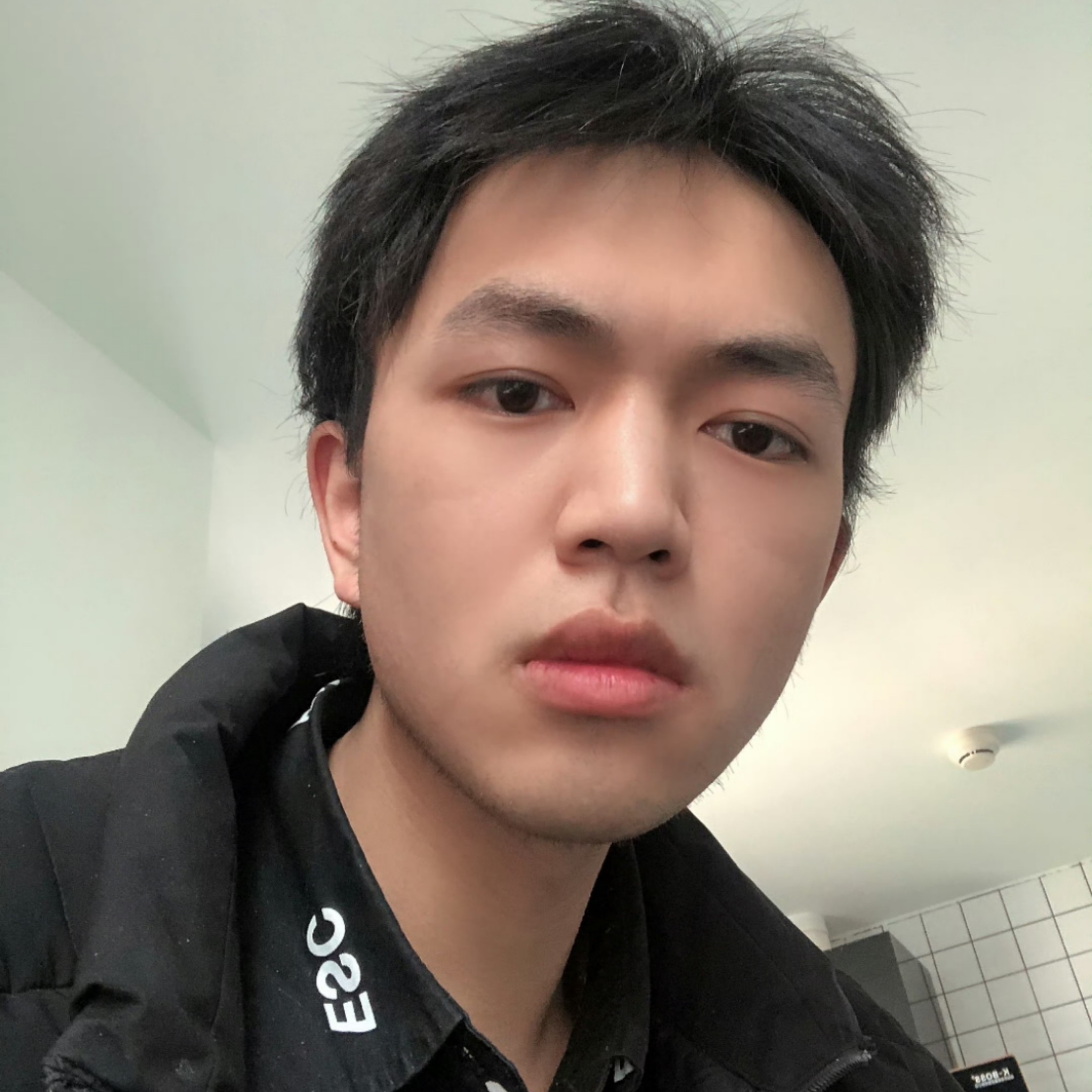 哈哈的照片
