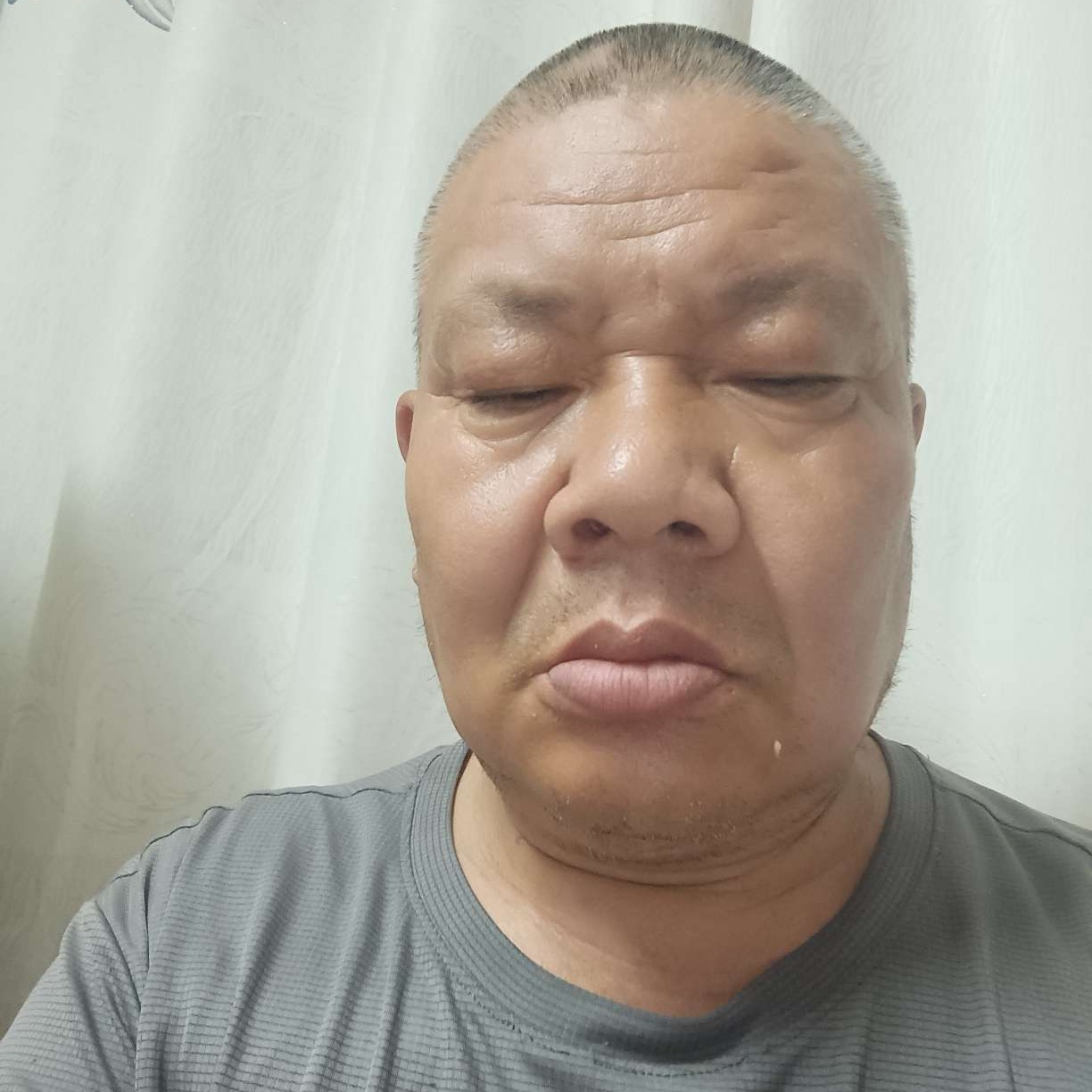 刺猬遇見乐观的照片