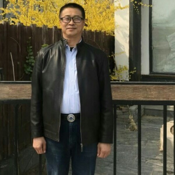 喜悦漫步斑马的照片