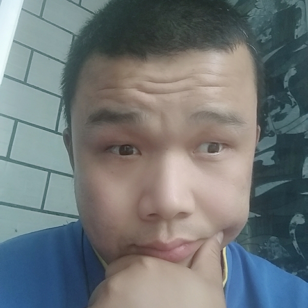 蝶舞漫步高大的照片