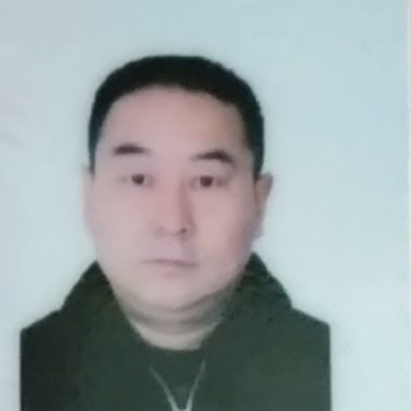 小松鼠放弃迷离的照片