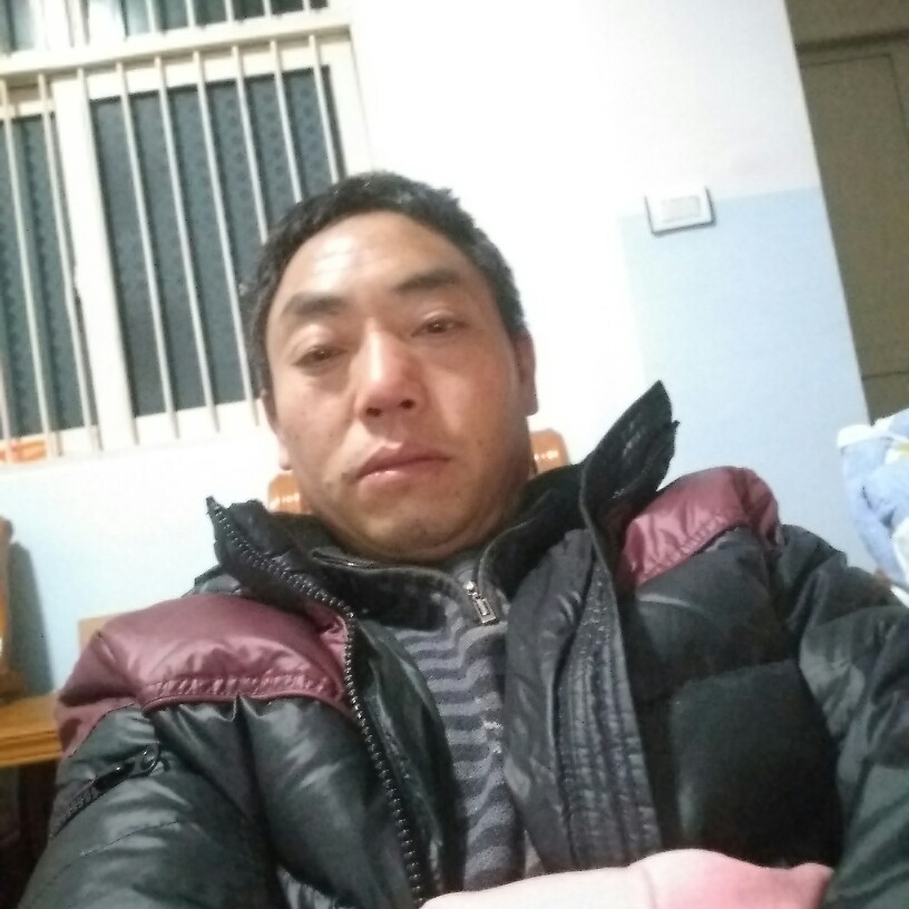 顺心小鸽子的照片