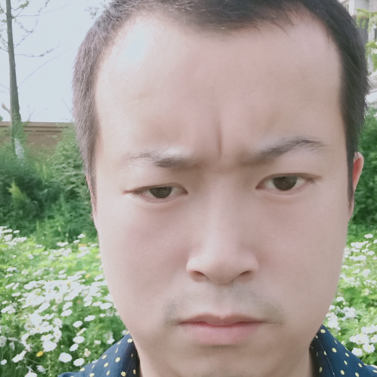 陶醉多么余溫的照片