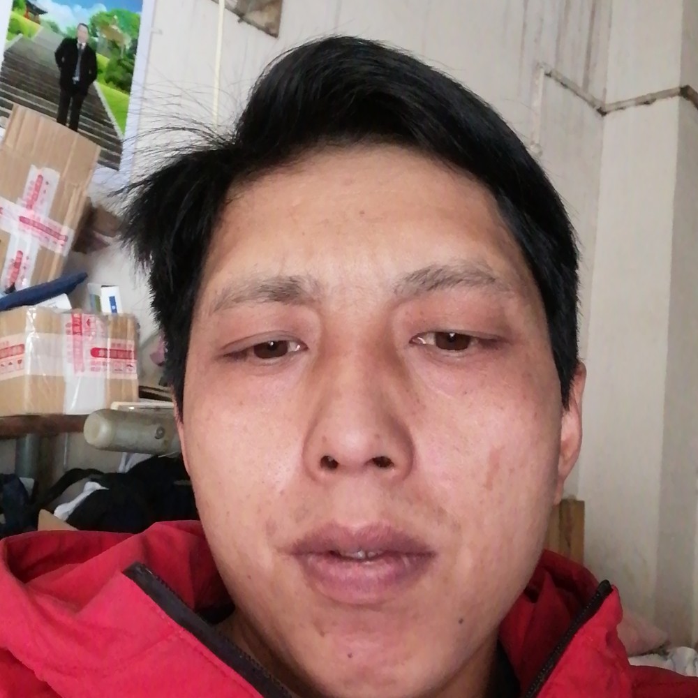 离歌回眸怕孤单的照片