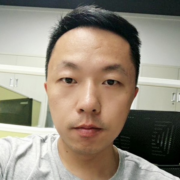 雁北飞的照片