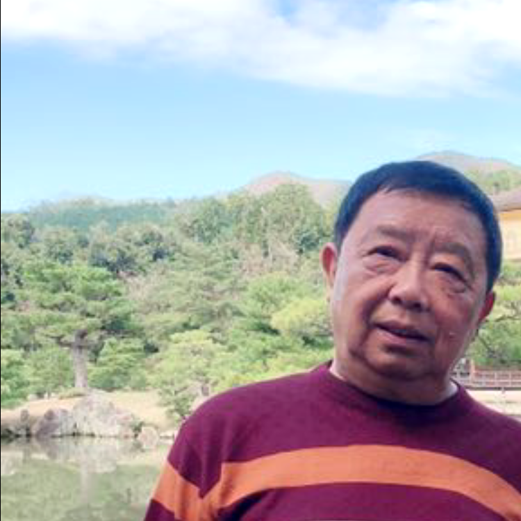 无意荫窗柳的照片