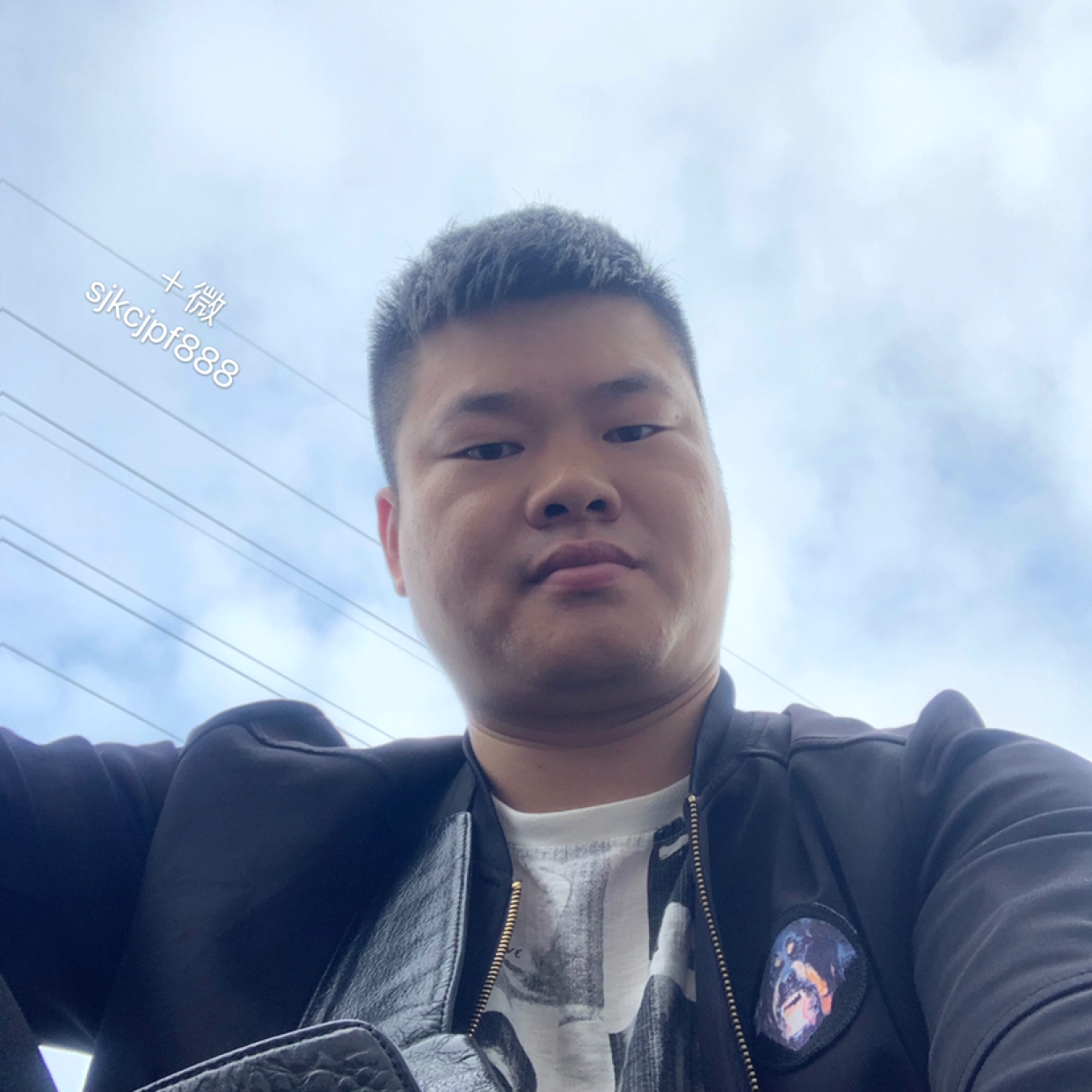 不会飞的鱼i的照片